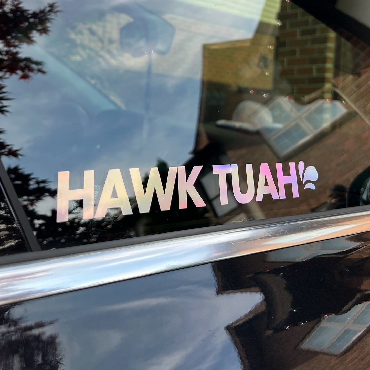 Hawk Tuah Decal